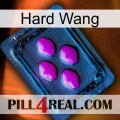 Hard Wang 04